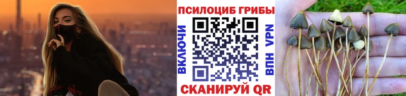 Псилоцибиновые грибы MAGIC MUSHROOMS Сковородино