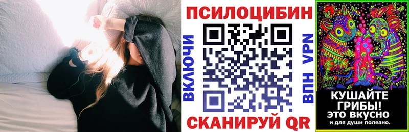 blacksprut Сковородино Галлюциногенные грибы Cubensis